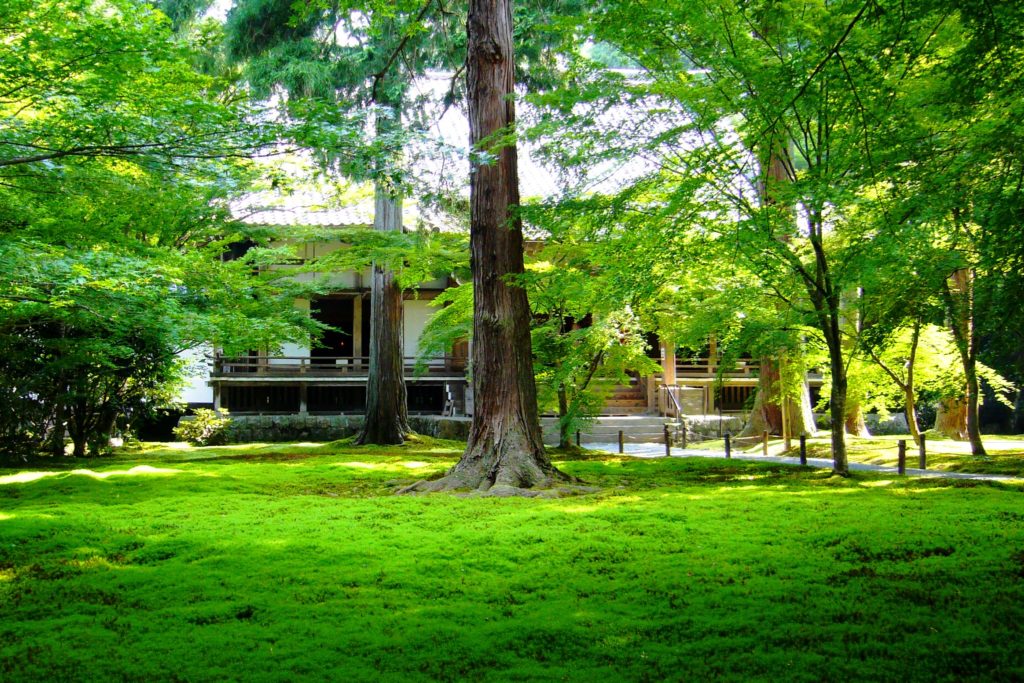 京都市左京区大原にある三千院の有清園