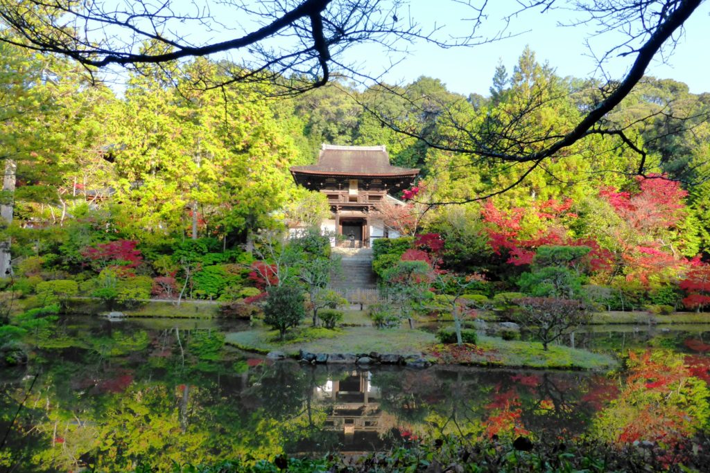 奈良市にある圓成寺の楼門と庭園