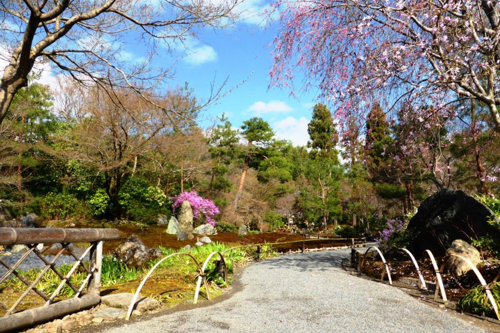 京都市右京区嵯峨(嵐山)にある宝厳院の獅子吼の庭と桜