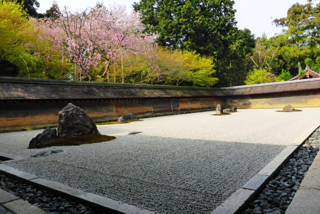 京都市右京区にある龍安寺の枯山水様式の方丈庭園と桜(春･4月)