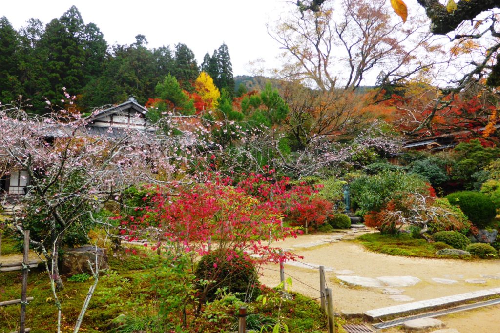 京都市左京区大原にある実光院の旧理覚院庭園