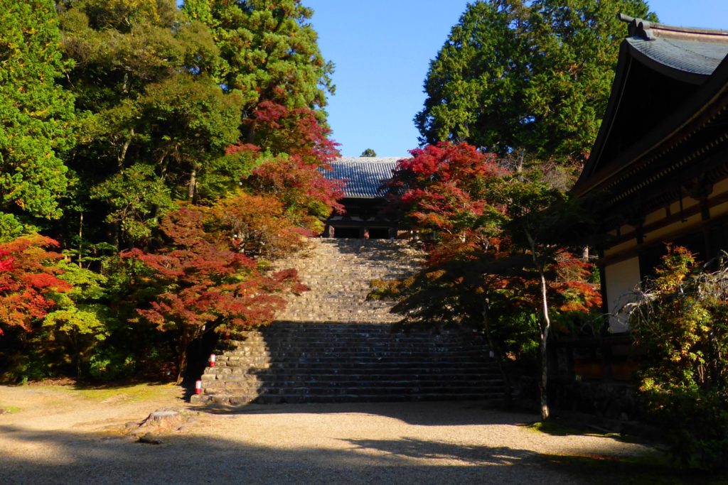 京都市右京区にある神護寺の境内と紅葉