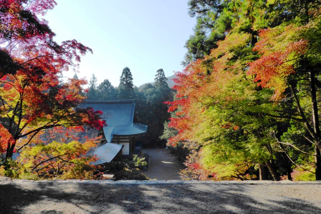 京都市右京区にある神護寺の境内と紅葉