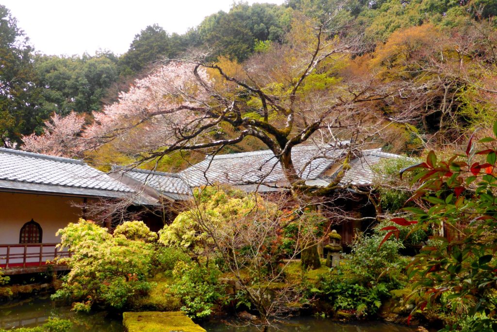 京都市左京区の実相院の庭