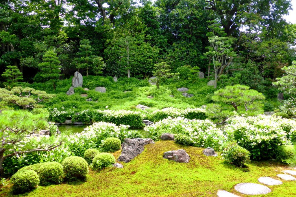 京都市東山区にある両足院の庭園の半夏生
